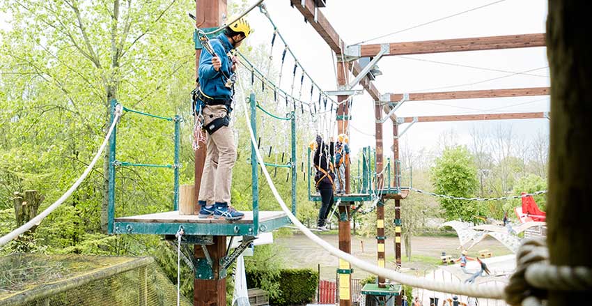 bedrijfsuitje dinoland