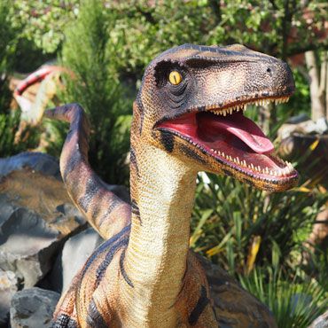 dinoland-deinonychus