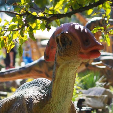 dinoland-parasaurolphus