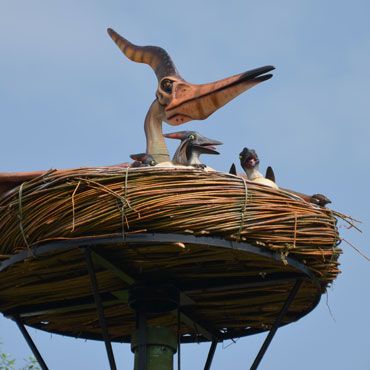 dinoland-pteranodon