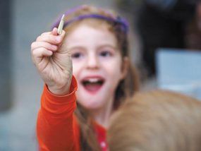 fossielen-zeven-dinoland-zwolle