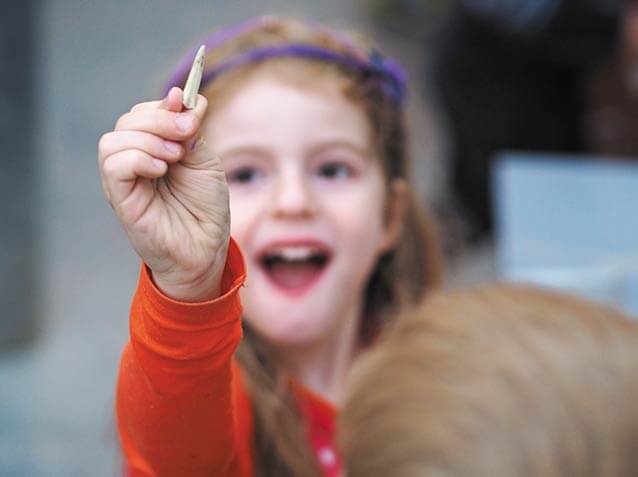 fossielen-zeven-dinoland-zwolle