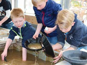 goudzoeken-dinoland-zwolle