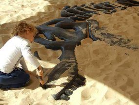 skelet-blootleggen-dinoland-zwolle