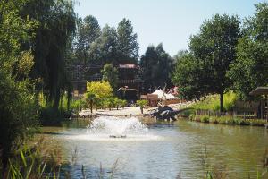Prachtige overzichtsfoto over de vijver van Dinoland met in het water 2 dino's en op de achtergrond het avontuurlijke hoogteparcours compleet met vliegende dino's.
